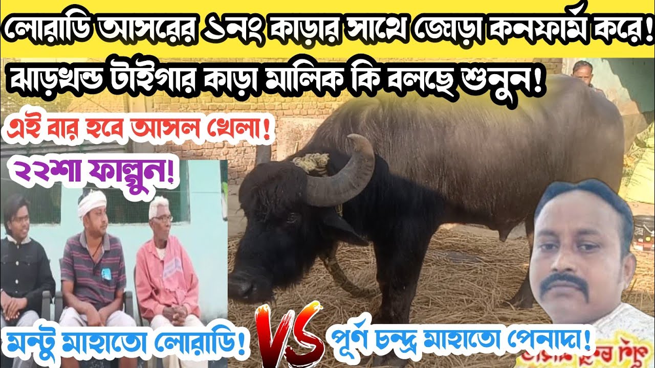 হটাত করে বাহারের আসরে জোড়া কনফার্ম করার পর! কি বলছে শুনুন ঝাড়খন্ড টাইগার কাড়া মালিক!