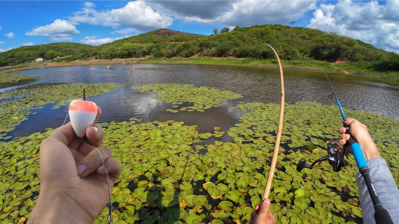 SÃO ESSES LUGARES QUE AS TRAIRAS GOSTAM DE FICAR VINHA UMA ATRAS DA OUTRA pescaria de traira