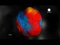 ESA Euronews: Gravity's grip on Earth