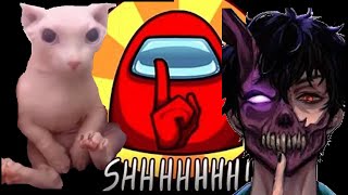 If I find Bingus, the video ends - sphynx cat meme