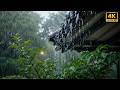 Relaxing Heavy Rain on Roof 🌧️ Real 4K Rain Sounds for Sleep &amp; Study