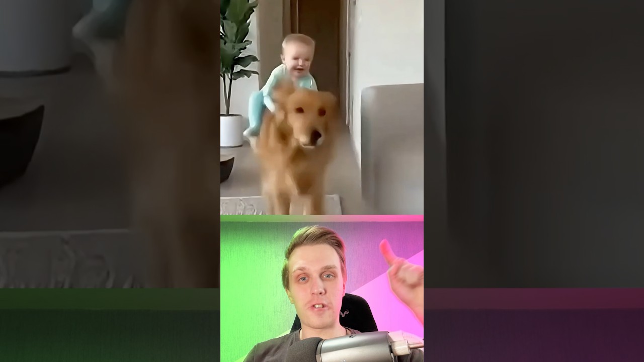 Эти дети доказали, что думать — необязательно! 