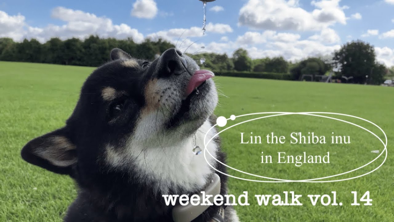Weekend Walk weekend walk vol.14 - YouTube