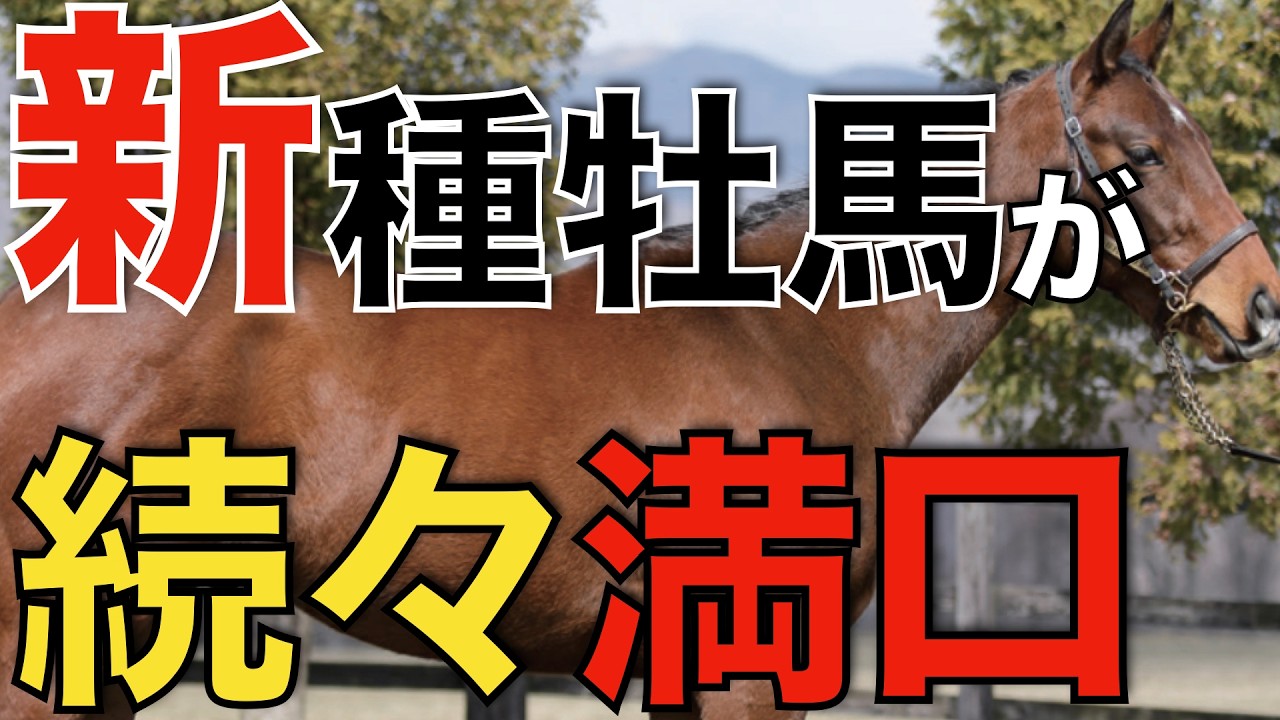 やはりこの血統の価値は大きい！あの新種牡馬たちが続々と満口に。