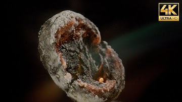 BLOW TORCH vs GRAPE in MACRO 4K #asmr #macro #closeup #satisfying