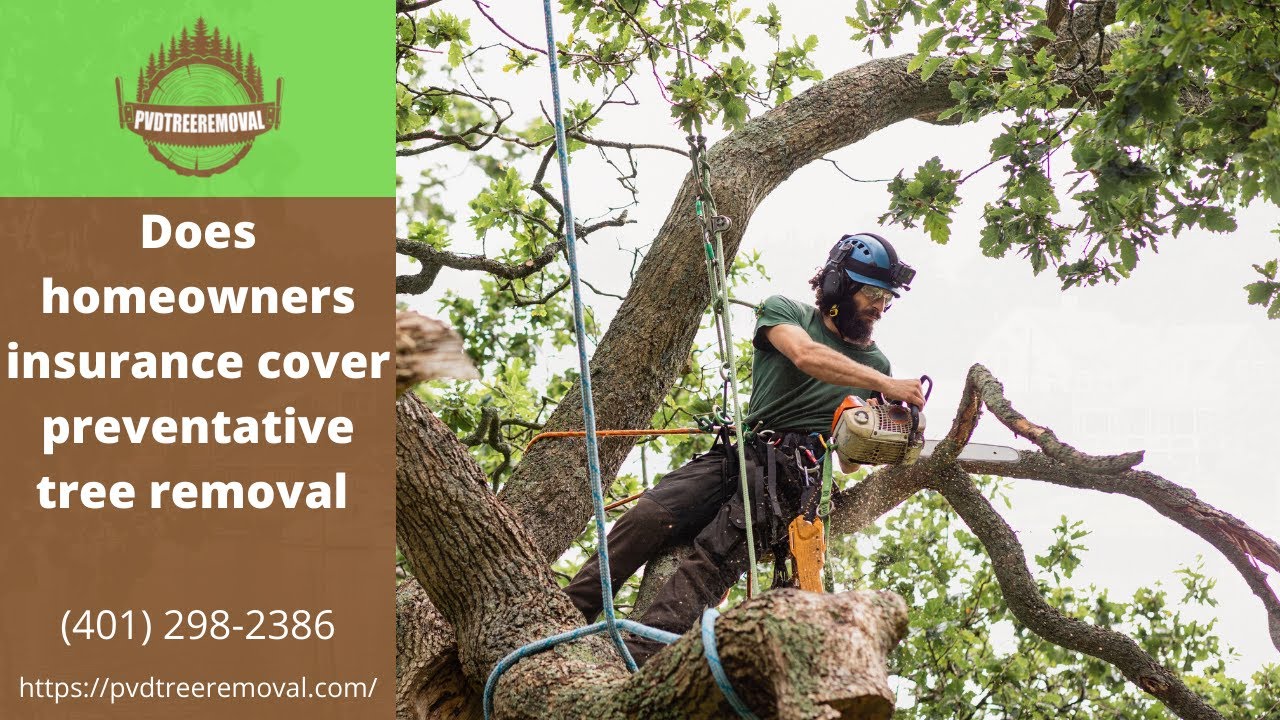 Does Homeowners Insurance Cover Preventative Tree Removal Warwick RI does-homeowners-insurance-cover-preventative-tree-removal-warwick-ri