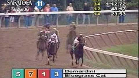 Bernardini - 2006 Travers Stakes