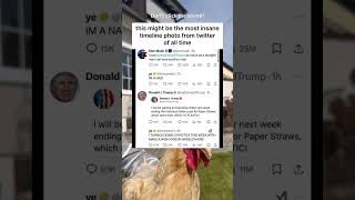 This might be the most INSANE timeline tweet on Twitter🤯