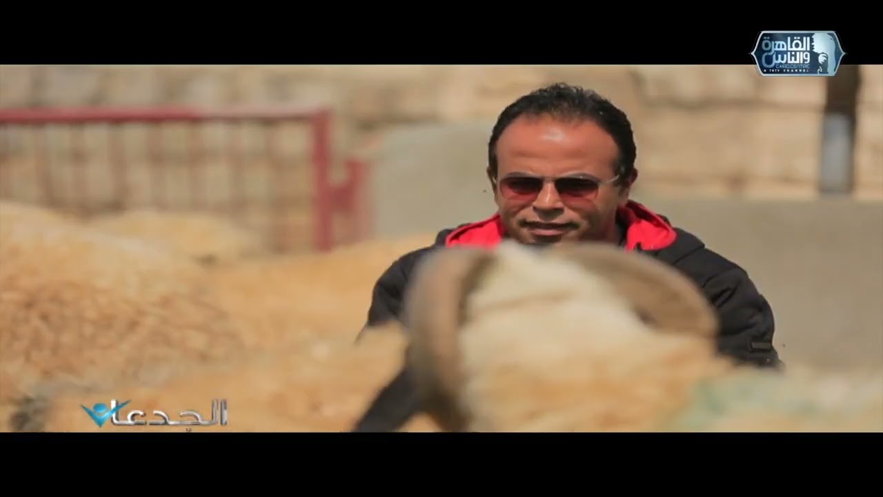 الجدعان يكشف نجاح مهندس الصواريخ عادل سعيد في إنتاج سلالة نادرة من الخراف المصرية