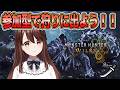 【モンハンワイルズ】参加型！皆でワイルズやろう！！【モンスターハンターワイルズ｜MHwilds｜ちいぬま】