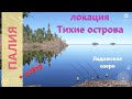 Русская рыбалка 4 - Ладожское озеро - Палия на живца