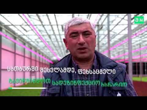 სათბურის ჰიგიენა და მავნებლების კონტროლი