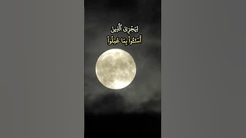 الشيخ محمد عمران | تلاوة من سورة النجم .♡♡♡     #صلوا_على_النبي #قرآن_كريم #محمد_عمران #fyp
