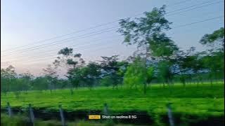 Sankosh Tea Garden🌲☘️🌳 #viral video #popular #trending #shorts#youtube short