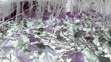 100% Volca Beat Tape - Korg Volca Beats Bass Keys & Monotribe + FX Pedals - Live Sessions