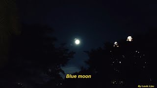 Rod Stewart  Blue Moon feat. Eric Clapton(With Lyrics)