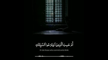 يقرأ بقلبه💙 من سورة الجاثية- قارئ العالم الأول|محمود الشحات انور|🎧