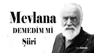 Mevlânâ Celâleddîn-I Rûmî - Demedim Mi Şiiri