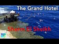 Шарм эль Шейх | The Grand Hotel Sharm El Sheikh | Красное море - Фейерверк эмоций