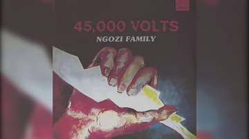 Ngozi Family - 45,000 Volts