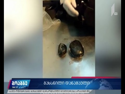 მებაჟე-ოფიცრებმა ყაზბეგში ნარკოტიკული ნივთიერება კოკაინი და ჰაშიში ამოიღეს