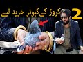 2Crore Kay Kabootar || Buying Pigeon || Kabootar Bazi In Lahore || Zafar Supari
