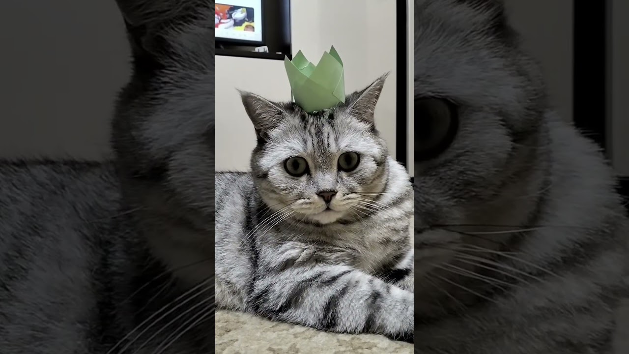 Чем соц.сети похожи на Древний Египет?!? 