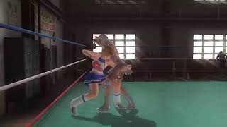 DJDMASSEYPLAYS's Live Playstation Broadcast DOA WRESTLING TAGTEAM INFINITY
