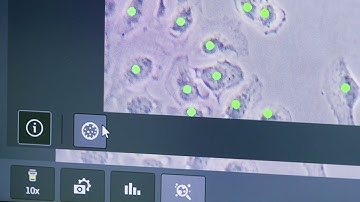 How to Automatically Count Cells in Fluorescence Contrast with ZEISS Labscope AI