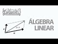 Álgebra Linear - Aula 6 - Matriz inversa - Prof. Gui