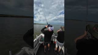 Hard fighting hounds #boatfishing #fishing #fishboat #fish #bassfishingismylife