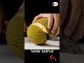 Perfect Knife Slice Through Jackfruit Cinematic Slow Motion #Shorts #asmr #fruitvisuals #shortvideo