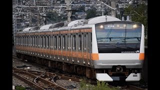 9732M 諏訪湖花火臨 「普通 茅野行」 E233系0番台 青664編成 岡谷にて