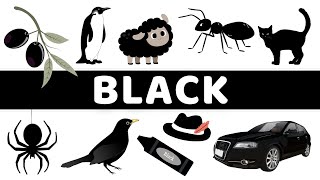 Famous Learn Black Things / Color Learning For Toddlers Net Worth