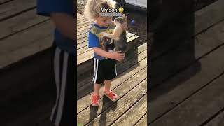 Ninja Cat gets pranked - Short Video 💥 Boom Funny!