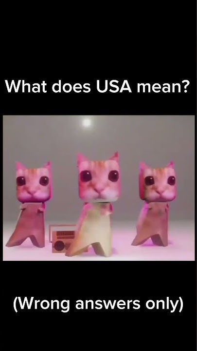 what-does-usa-mean-youtube