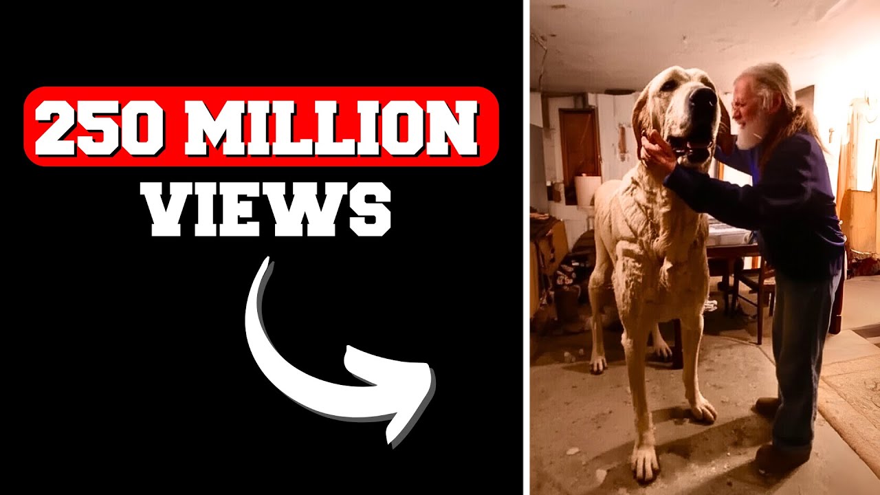 Can I Recreate an AI Video With 250+ Million Views in 20 Minutes?