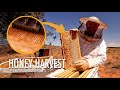 Unveiling the uncapping box  honey harvest  the bush bee man