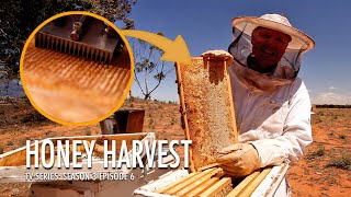 Unveiling the Uncapping Box  Honey Harvest | The Bush Bee Man