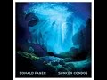 Video thumbnail for DONALD FAGEN  ◙  Sunken Condos [full cd]