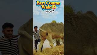 BXRT Course Karne Wale😜 #Bxrtwalefunny #shorts