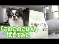 話題の「このこのごはん」試してみた