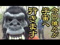 【旅動画】ぼくらは新世界で旅をする Part8【関東鍋編】