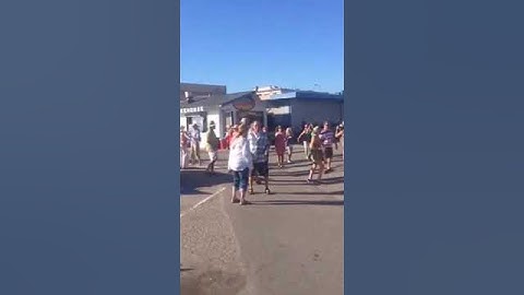 Thumbnail of Cayucos Beach Concert AJM Band