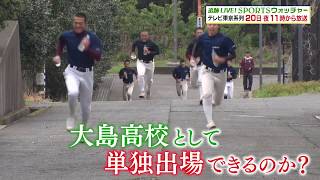 大島　野球部 𝕋𝕒𝕜𝕦𝕞𝕚✿✿ | 小島 大和 （3年 投手） 2023.11.11 後藤淳