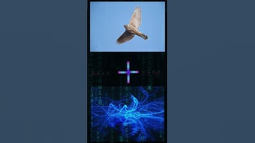 Look at what artificial intelligence is capable of. Combine Images. This is madness and it