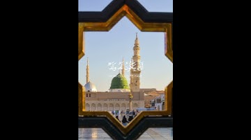 سورة الأنعام بصوت الشيخ ياسر الدوسري ❤️💖
