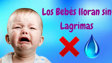 ¿Por qué no hay lágrimas cuando llora un bebé?