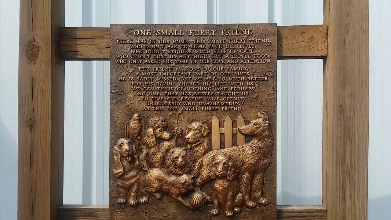 A Prayer for our Furry Friends YouTube