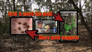 Gold reef patch still giving gold in Victoria. Stuart Mill episode 5 GPX 6000 21/3/2022
